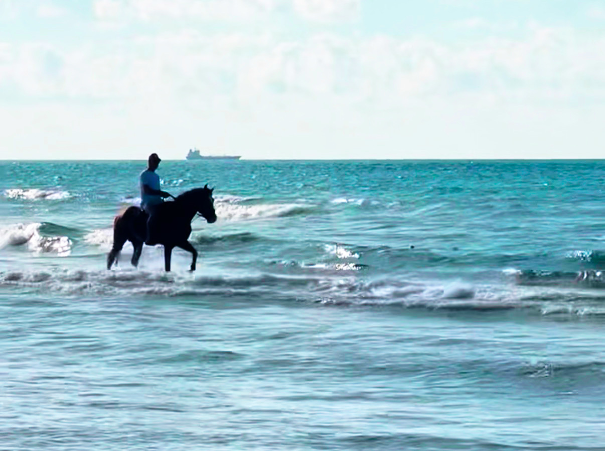 Sea Horseback Riding